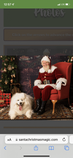 Gallery photo 2 of Santa Ward