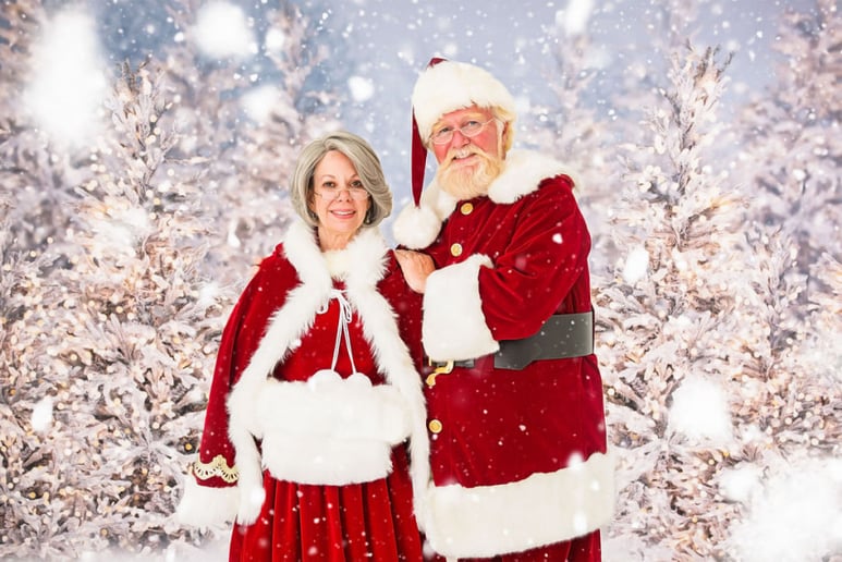 Gallery photo 4 of Santa Ward