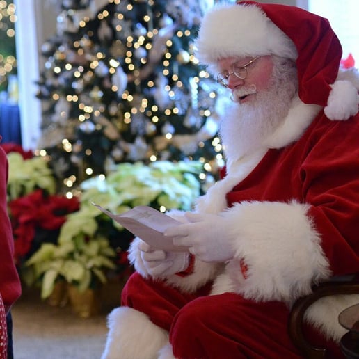 Gallery photo 4 of Santa Greg