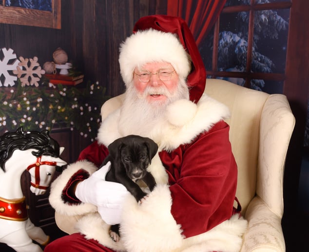 Gallery photo 9 of Santa Greg