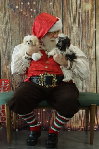 Gallery photo 5 of Santa Jon