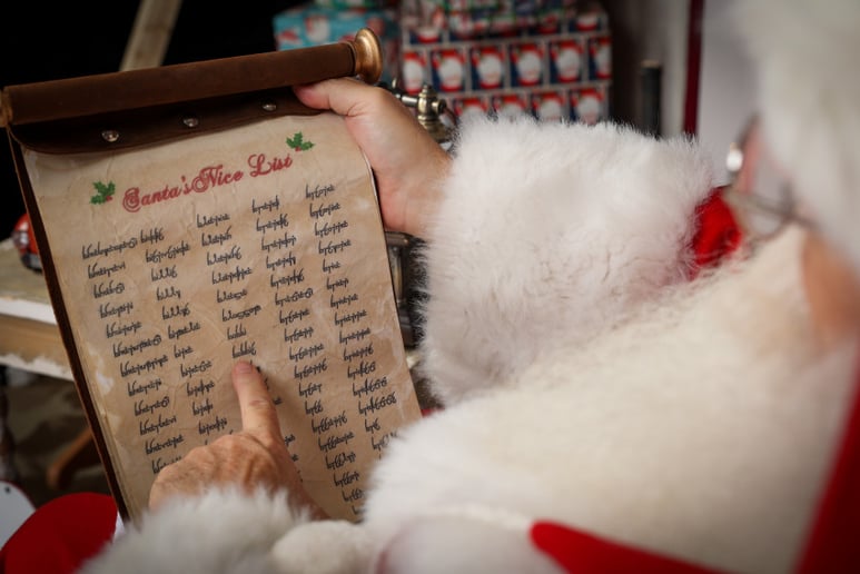 Gallery photo 4 of Michigan's Premier Santa & Mrs. Claus