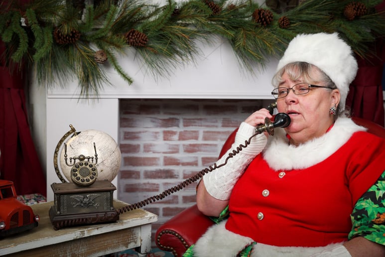 Gallery photo 5 of Michigan's Premier Santa & Mrs. Claus