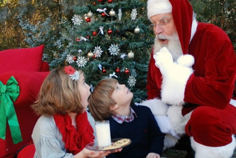Gallery photo 5 of Santa Steve