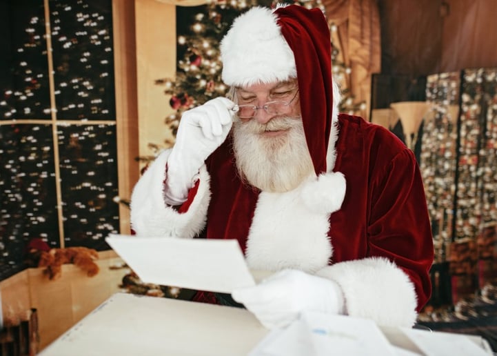 Gallery photo 1 of Santa Steve