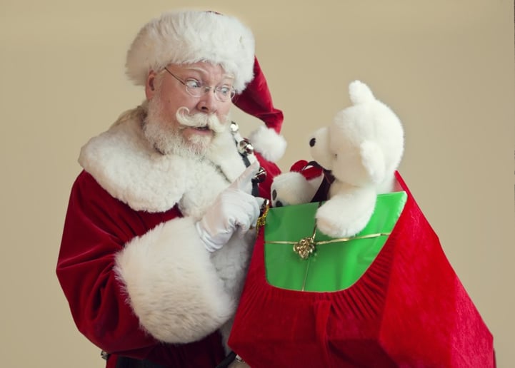 Gallery photo 19 of Santa True