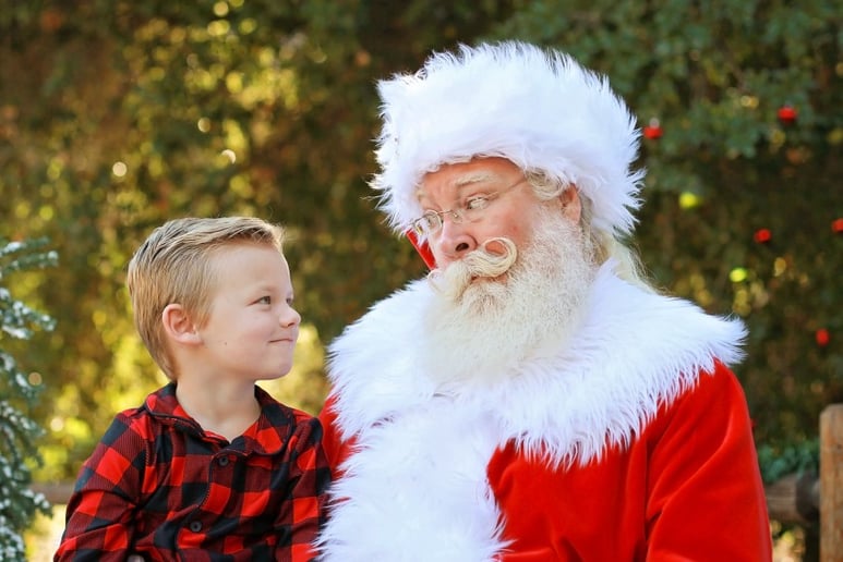 Gallery photo 7 of Santa True