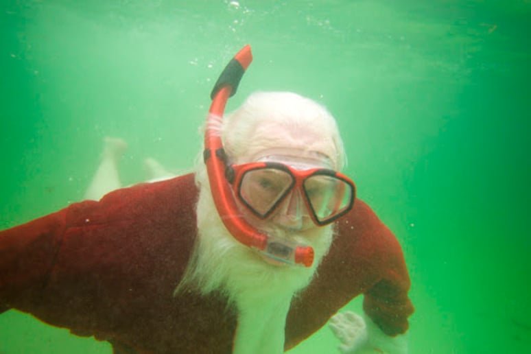 Gallery photo 21 of Santa True