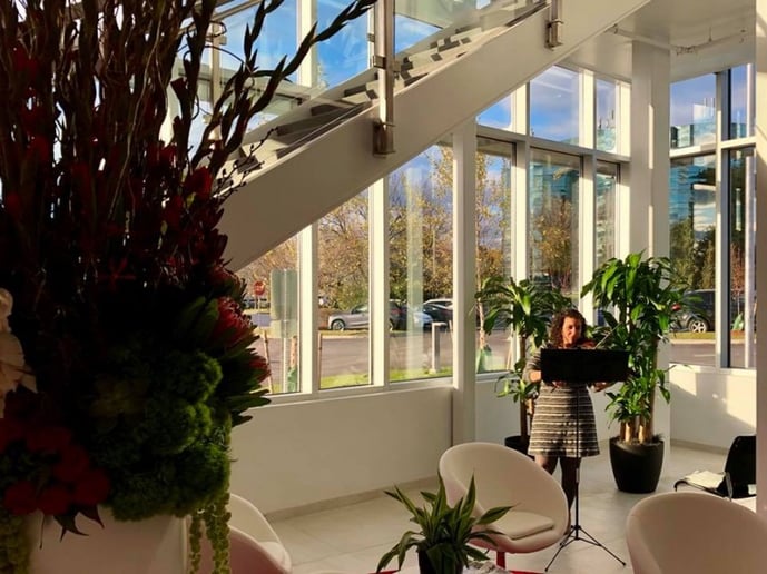 Gallery photo 13 of The Music Boutique