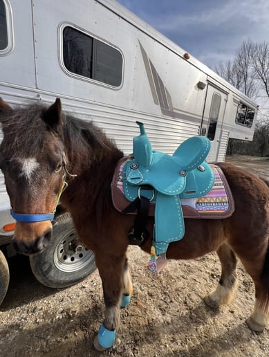 Gallery photo 3 of Sharing Horses W Humans, LLC