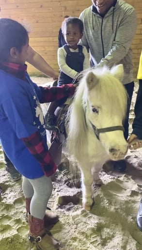 Gallery photo 2 of Sharing Horses W Humans, LLC