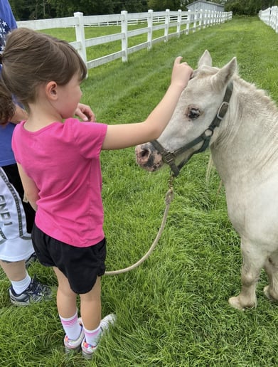 Gallery photo 4 of Sharing Horses W Humans, LLC