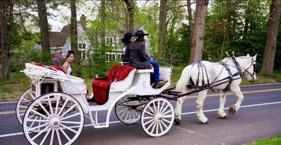 Gallery photo 9 of Sharing Horses W Humans, LLC