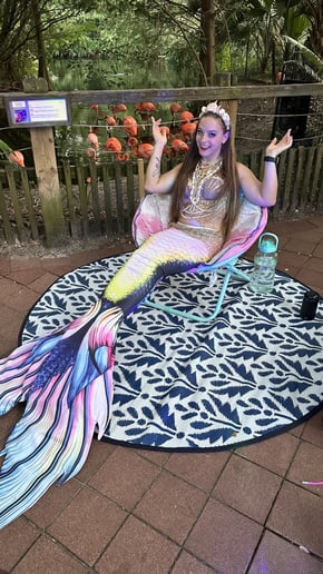 Gallery photo 55 of Kristen Sparrow Circus