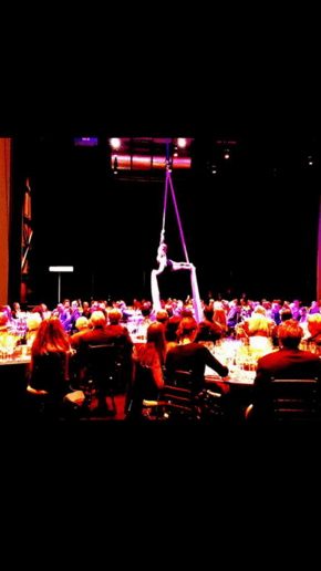 Gallery photo 3 of Sky Dancer