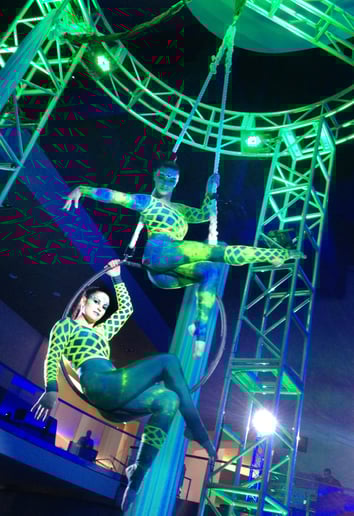 Gallery photo 12 of Liquid Sky