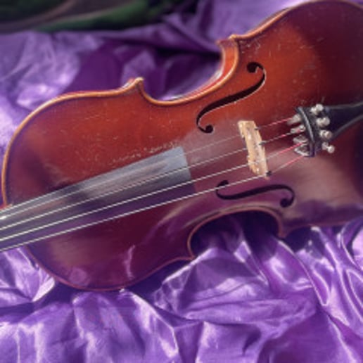 Gallery photo 5 of Solo Violinist