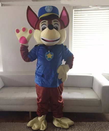 Gallery photo 8 of Spark of the Party Too