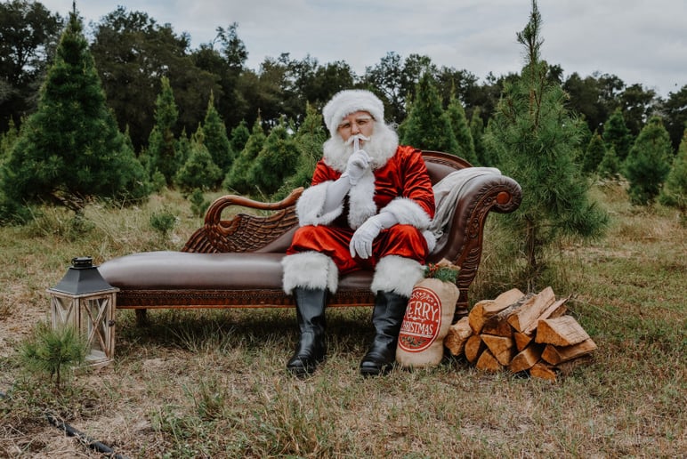 Gallery photo 4 of Spark of the Party Too