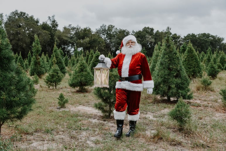 Gallery photo 2 of Spark of the Party Too