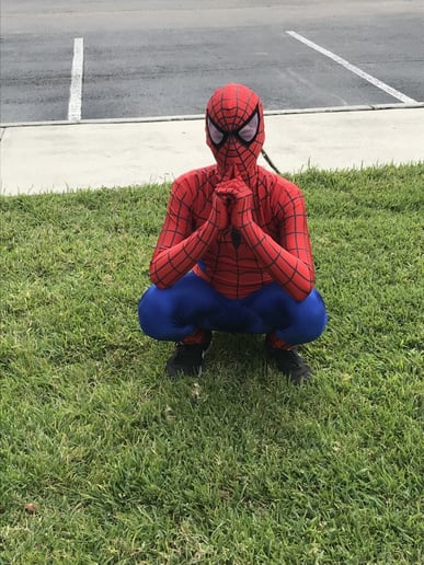 Gallery photo 22 of Spark of the Party Too