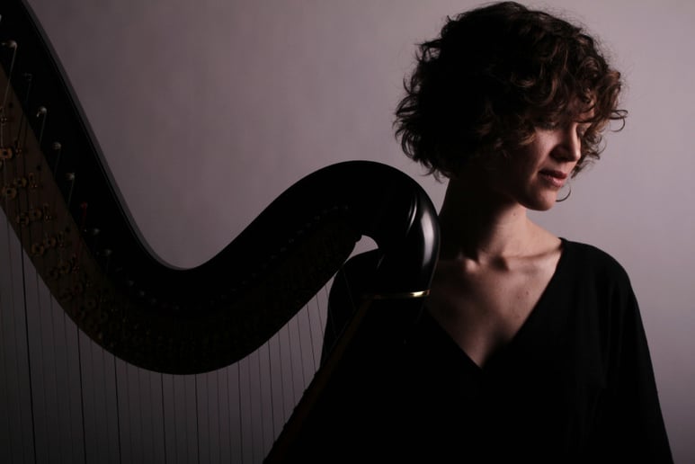 Gallery photo 4 of Arev Music Entertainment