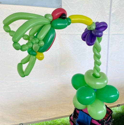 Gallery photo 7 of Spellbound  