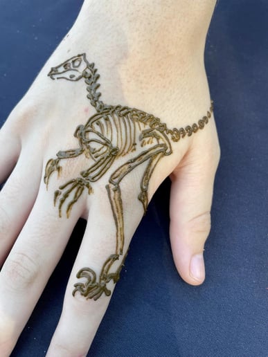 Gallery photo 36 of Spellbound  