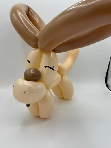 Gallery photo 37 of Spellbound  