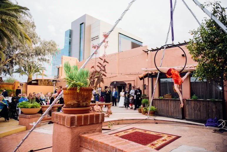 Gallery photo 3 of Spider Silk Circus