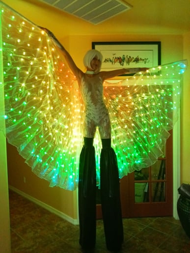 Gallery photo 22 of SpinElements