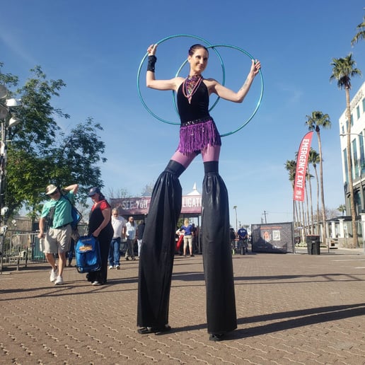 Gallery photo 27 of SpinElements