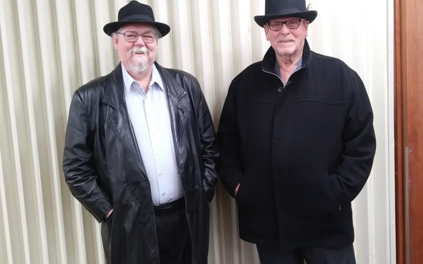 Gallery photo 3 of Two Grey Cats