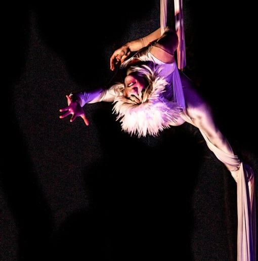 Gallery photo 2 of Star Force, LLC.