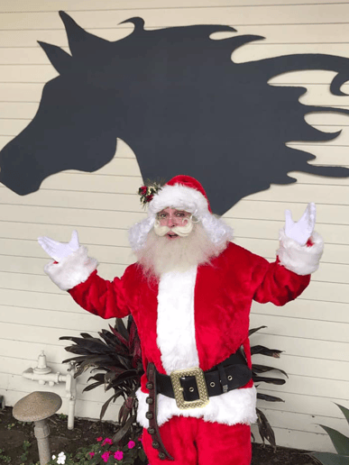 Gallery photo 23 of Star Quality Parties & OC Santa Claus