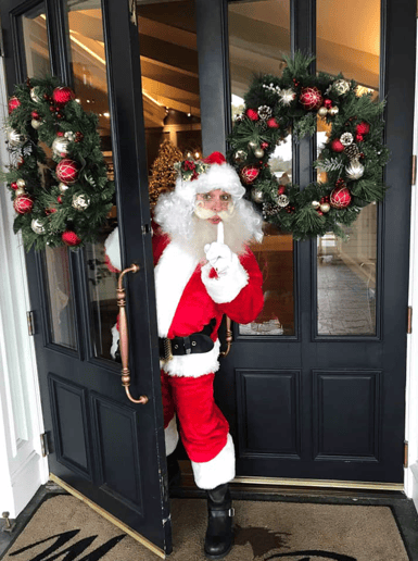Gallery photo 11 of Star Quality Parties & OC Santa Claus