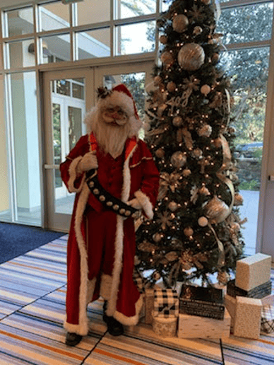 Gallery photo 34 of Star Quality Parties & OC Santa Claus