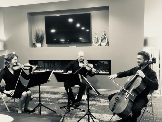 Gallery photo 2 of Stellare Strings