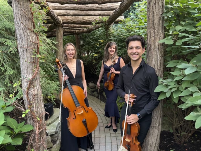 Gallery photo 4 of Stellare Strings