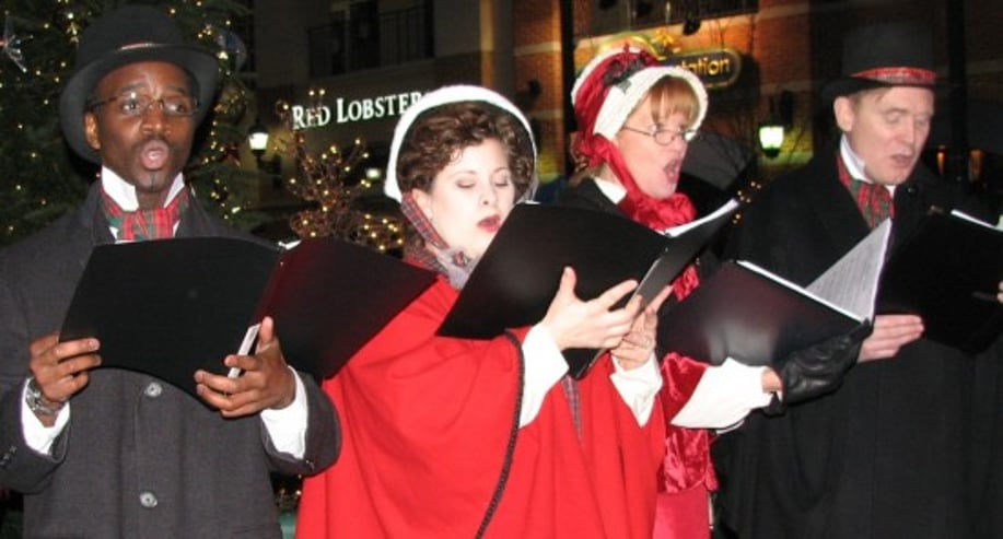 Gallery photo 6 of Stephanie Phelan