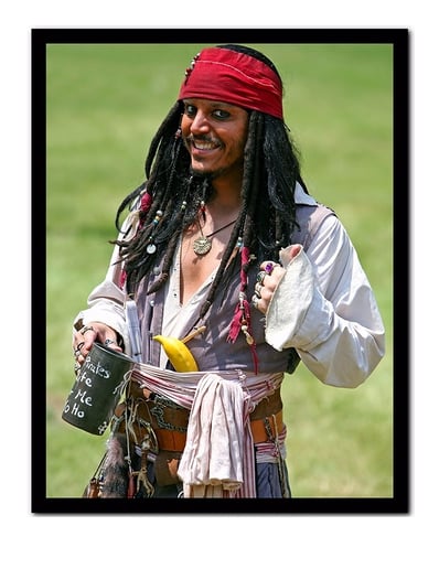 Gallery photo 4 of The Pirate Empire - Steven Dapcevich