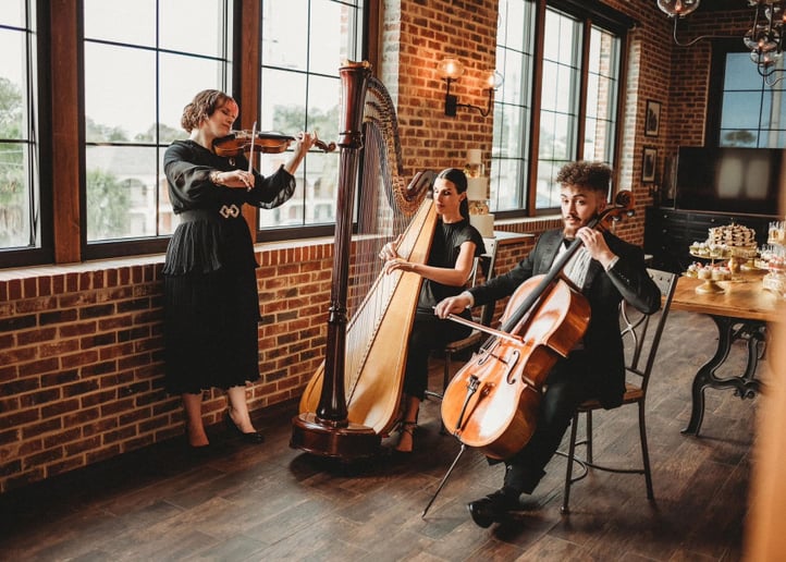 Gallery photo 2 of String Theory Music