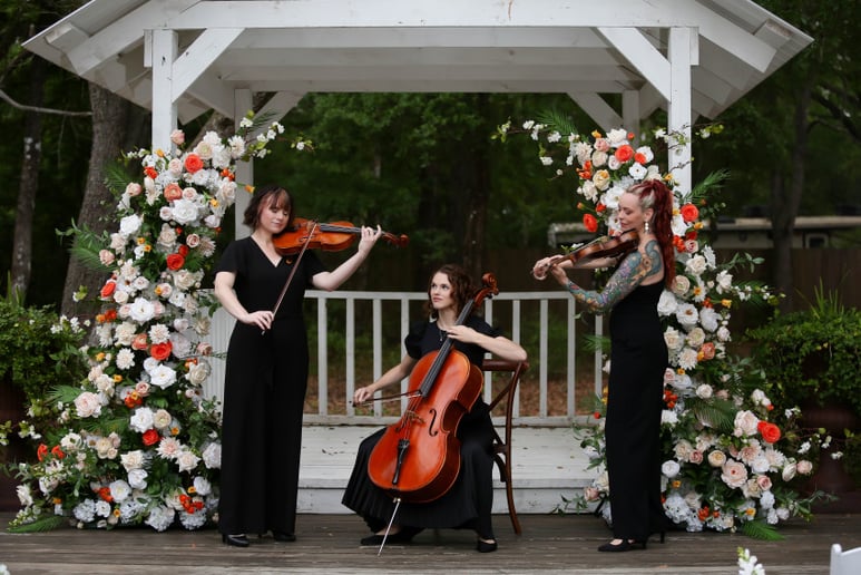 Gallery photo 3 of String Theory Music