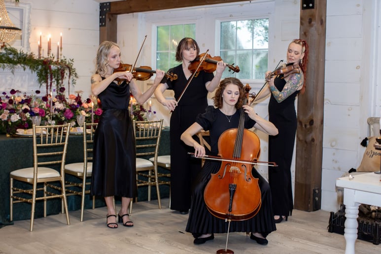Gallery photo 4 of String Theory Music