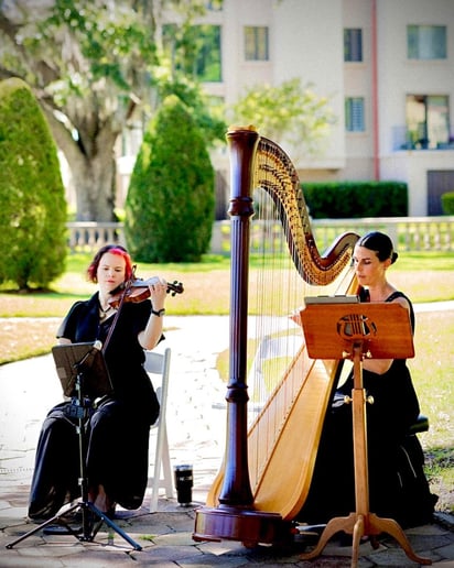 Gallery photo 5 of String Theory Music