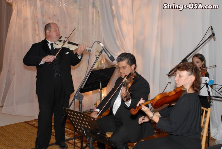 Gallery photo 1 of Strings-USA