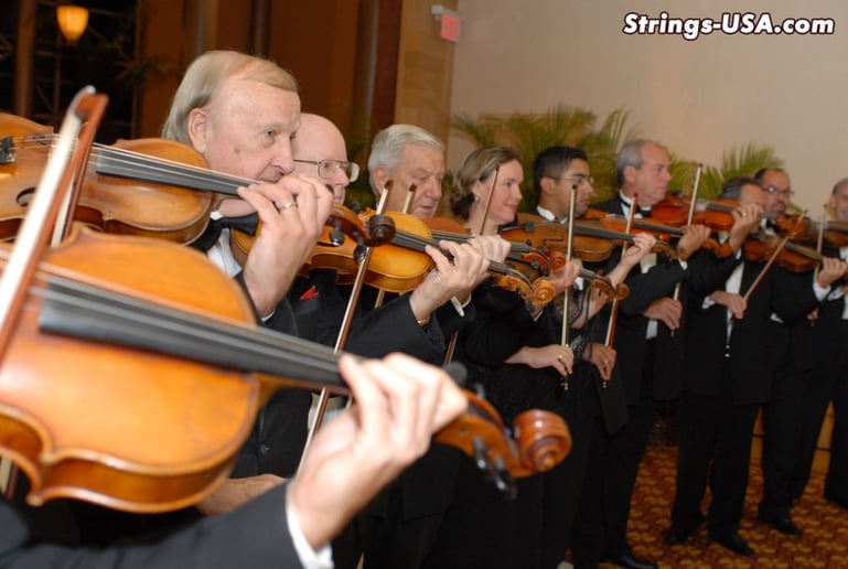 Gallery photo 2 of Strings-USA