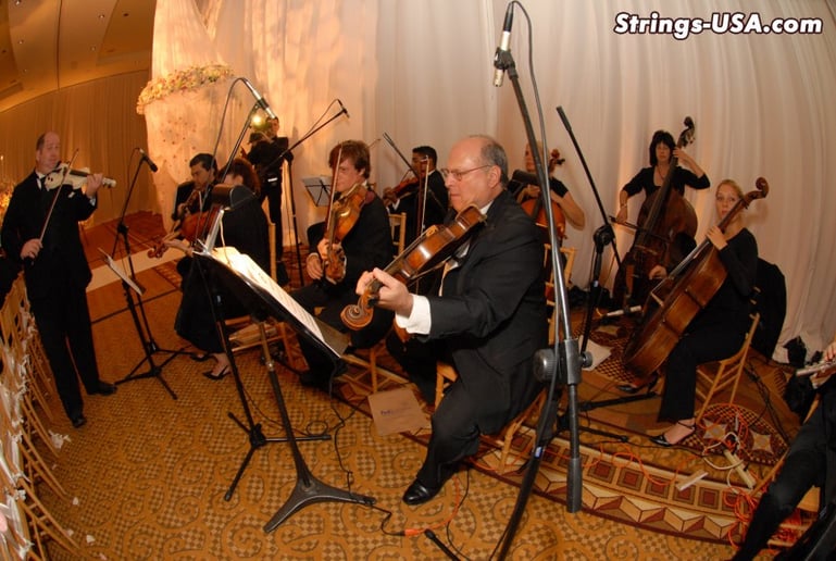 Gallery photo 3 of Strings-USA