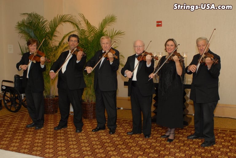 Gallery photo 4 of Strings-USA