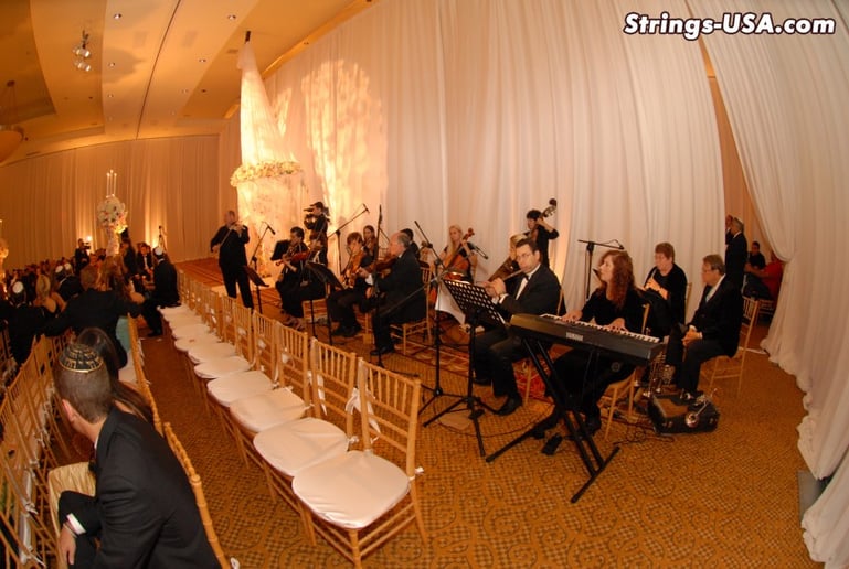 Gallery photo 5 of Strings-USA